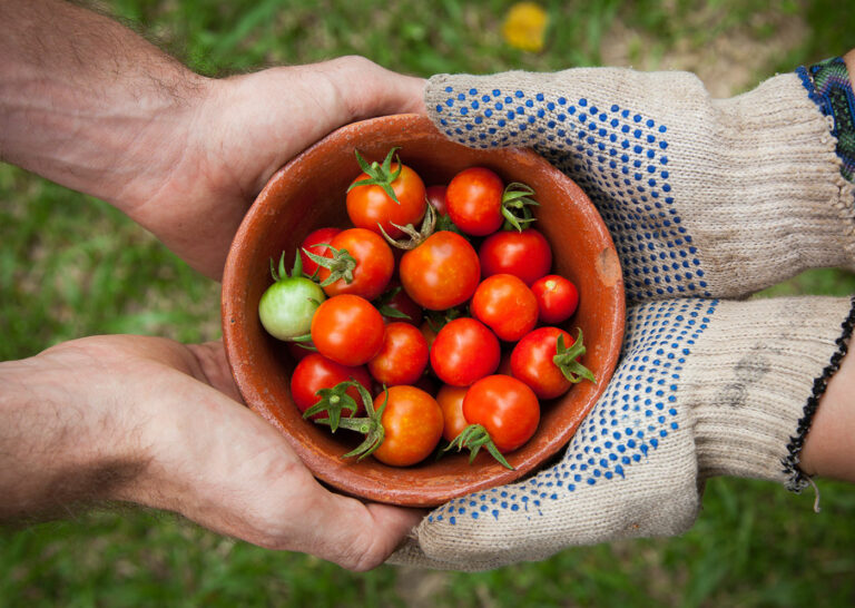 Healthiest Vegetables on Earth
